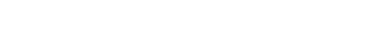 Swiss Center Services AG